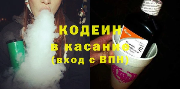 индика Аркадак