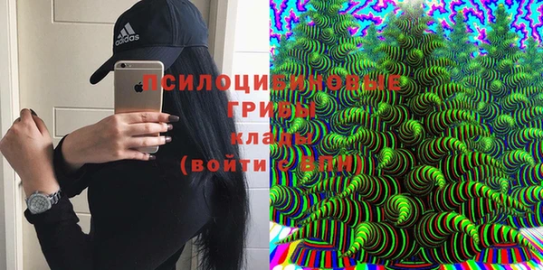 индика Аркадак