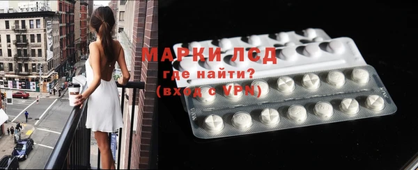 индика Аркадак