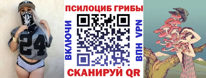 ссылка на мегу рабочий сайт  Артёмовский  Галлюциногенные грибы мицелий  сколько стоит 